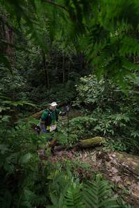 BIB: 5138
                            <button type="button" onclick="openModal(16029642)" class="btn btn-primary btn-sm float-right btn-popup" data-toggle="modal" data-target=".modal-high-quality">
                        <i class="fas fa-shopping-cart"></i> Add to Cart
                    </button>
                                            <button type="button" onclick="isThisMe(16029642, true)" class="btn btn-success btn-sm float-right btn-popup btn-isme hidden" data-toggle="tooltip" data-placement="bottom" title="นี่คือรูปของคุณใช่ไหม คลิกที่นี่เพื่อเอาเข้าอัลบั้ม">
                        <i class="fas fa-plus"></i> Add to album
                    </button>
                    <button type="button" onclick="isThisMe(16029642, false)" class="btn btn-warning btn-sm float-right btn-popup btn-isnotme hidden">
                        <i class="fas fa-ban"></i> Remove from album
                    </button>